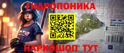 Альфа ПВП Апшеронск