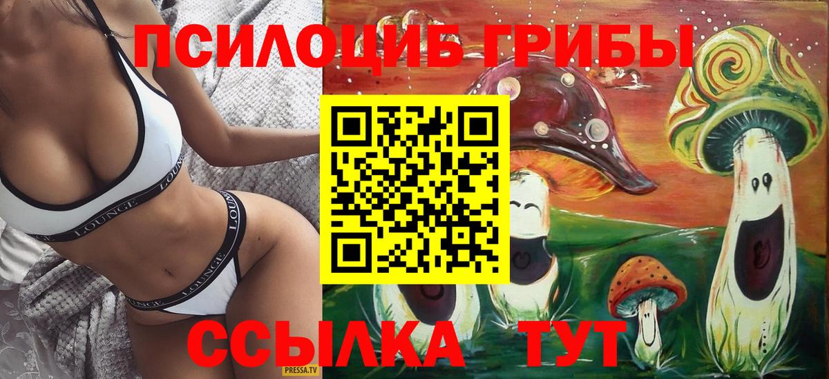 Баксан  Псилоцибиновые грибы GOLDEN TEACHER  что такое наркотик  Вход с VPN  Галлюциногенные грибы Psilocybe 